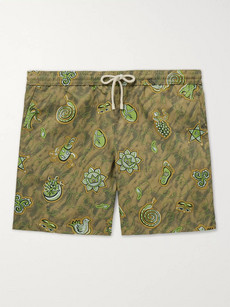 Loewe Paula's Ibiza Mid-length Printed Swim Shorts In Green