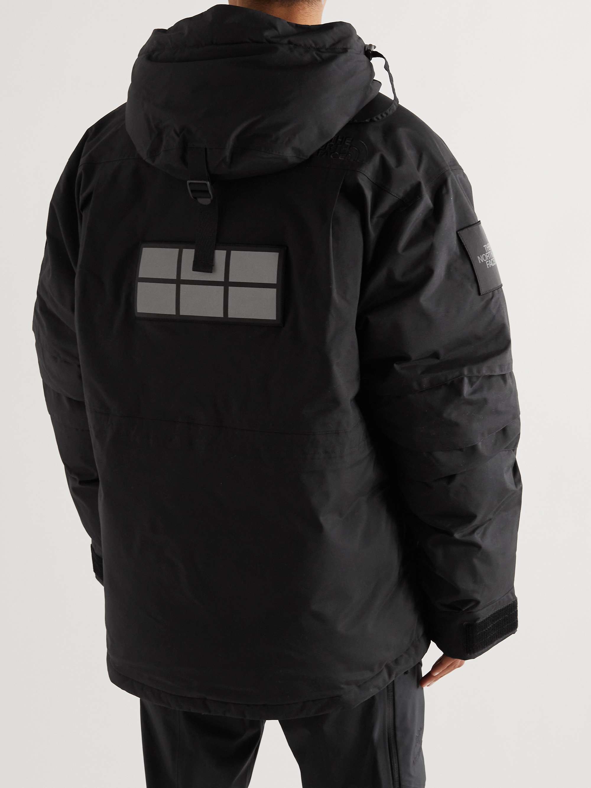 THE NORTH FACE Trans-Antarctica Expedition DryVent Hooded Down Parka
