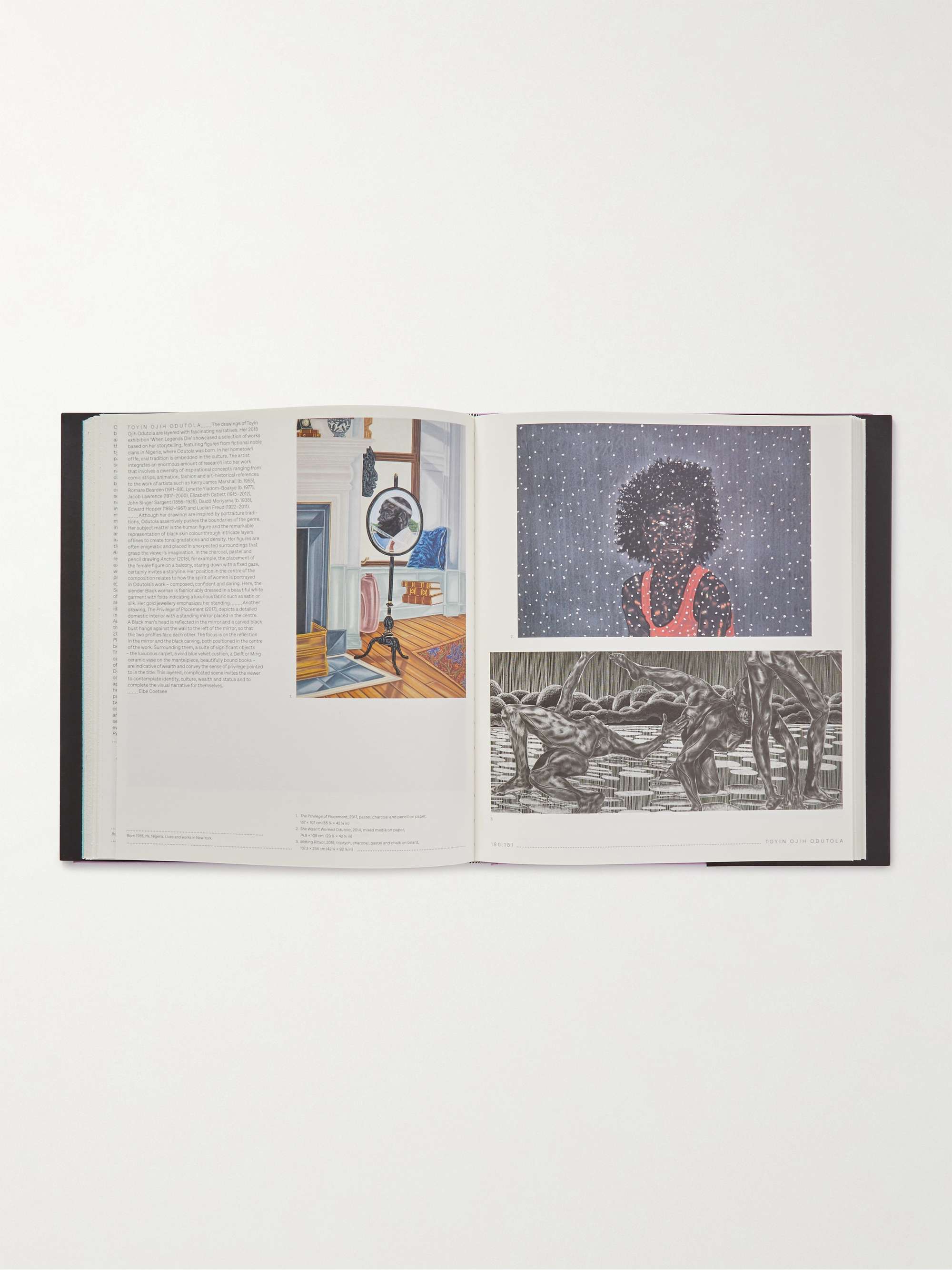 PHAIDON Vitamin D3: Today's Best in Contemporary Drawing Hardcover Book