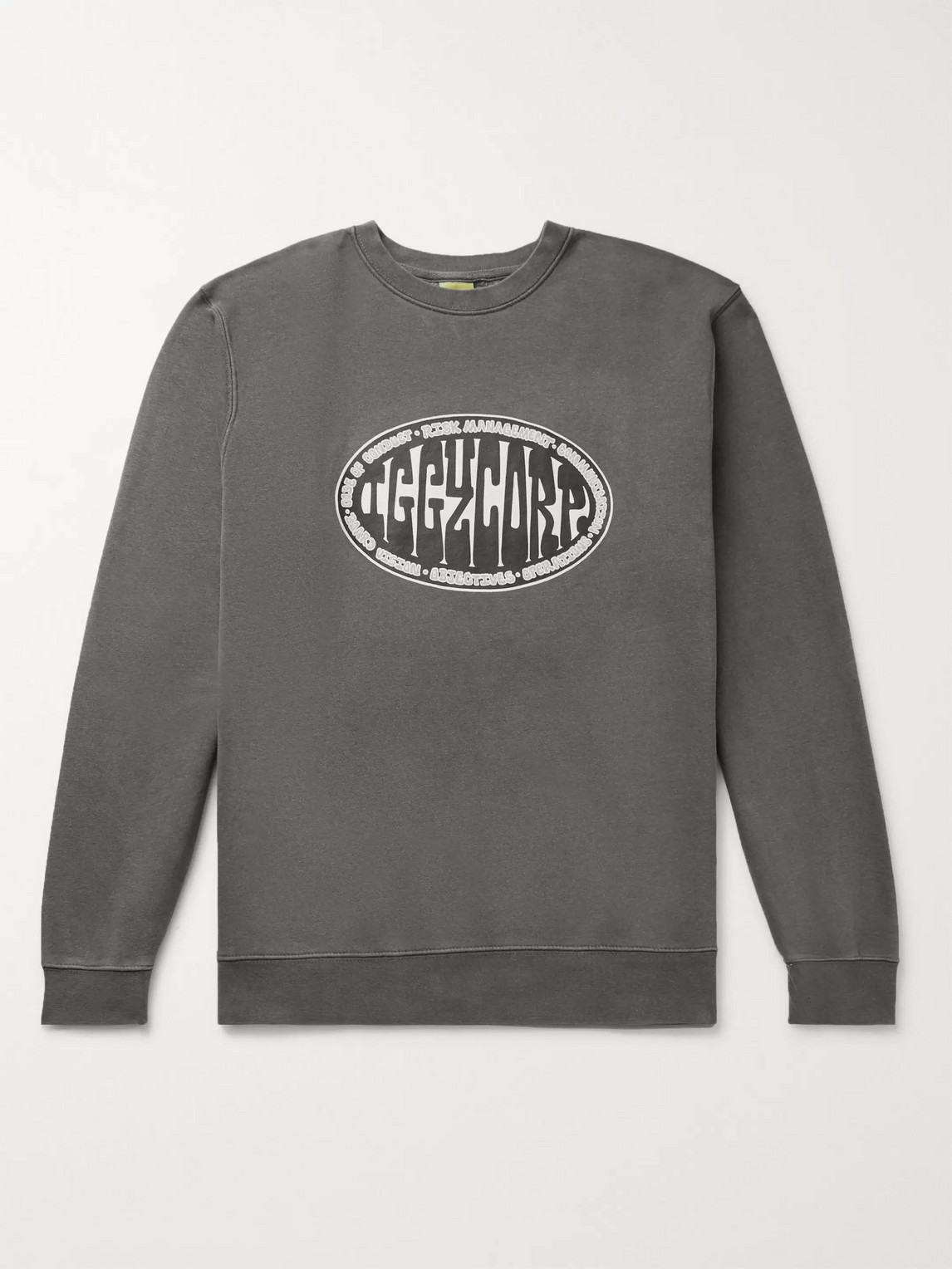 Iggy Printed Pigment-dyed Fleece-back Cotton-blend Jersey Sweatshirt In Gray