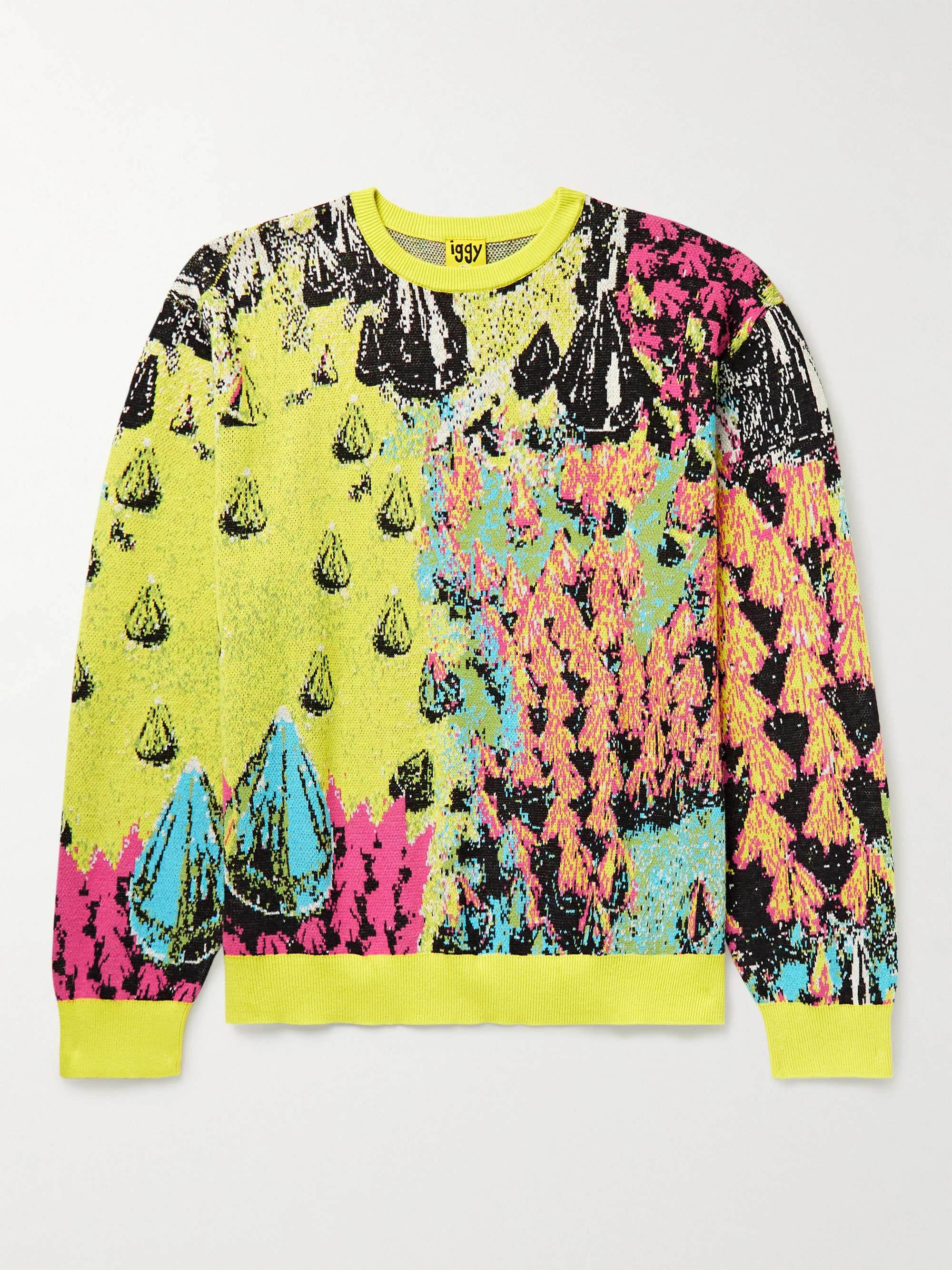 IGGY Spiked Cotton-Jacquard Sweater