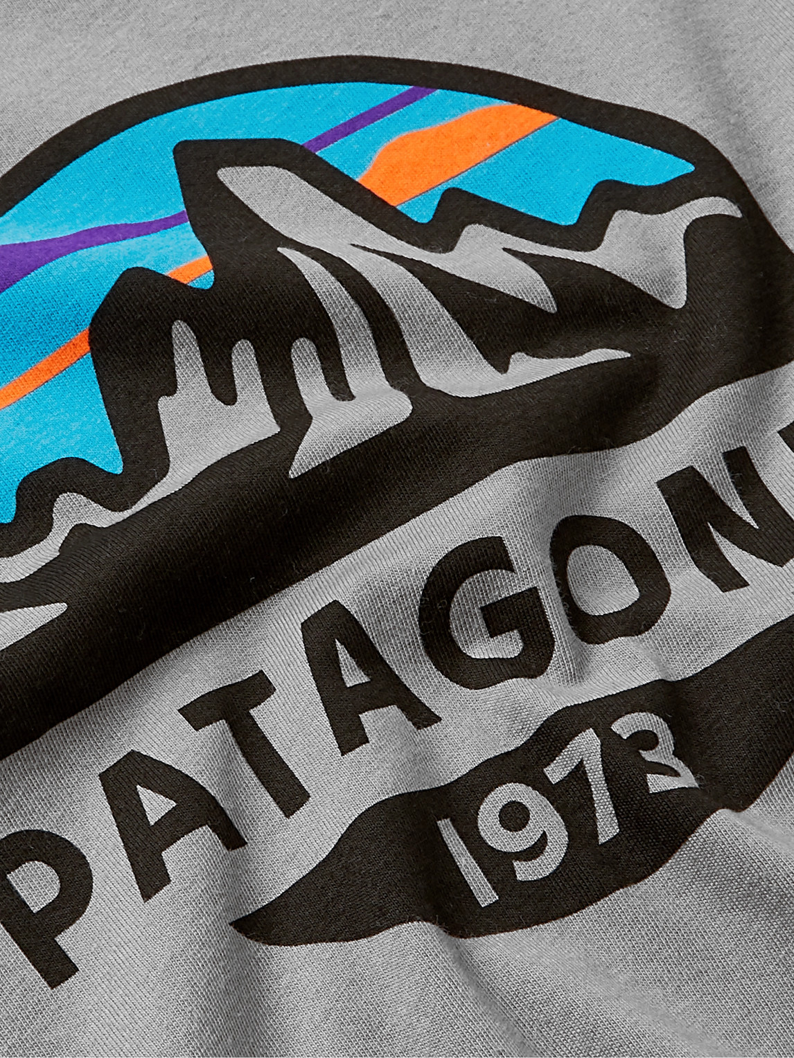 Shop Patagonia Fitz Roy Organic Cotton-jersey T-shirt In Gray