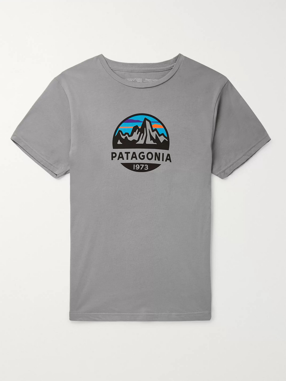 Patagonia Fitz Roy Organic Cotton-jersey T-shirt In Grey