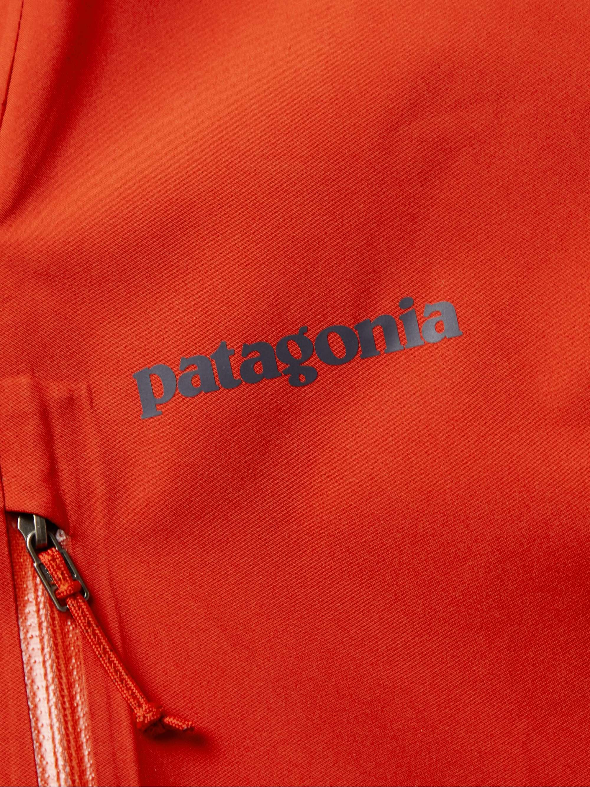 PATAGONIA Calcite GORE-TEX Paclite Plus Hooded Jacket